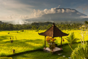 Garden with pavilion and rice field of the Great Mountain Views Resort with the volcano Gunung Agung Garden with pavilion and rice field of the Great Mountain Views Resort with the volcano Gunung Agung
